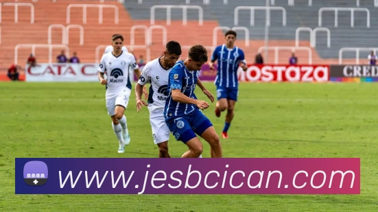 登录器